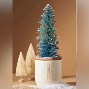 Anthropologie NWT Apple & Cinnamon Frosted Brush Tree Candle
